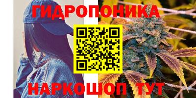 молекула духа Можга
