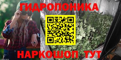 a pvp Моздок